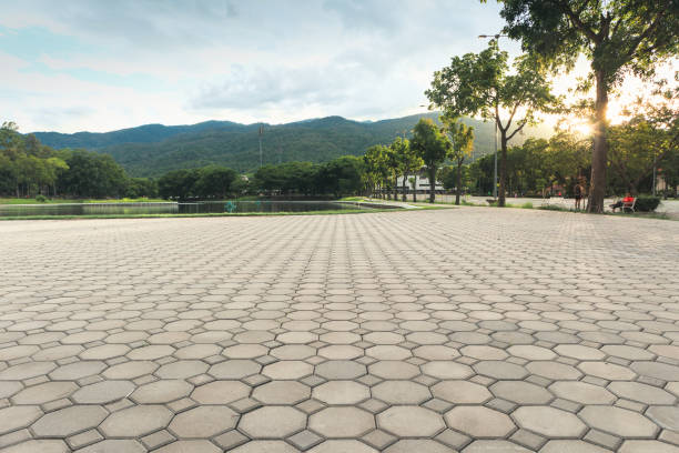 Best Driveway Paving Contractor  in Dilworth, MN